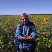 Сиделки мужчины - Брискин Дмитрий Борисович