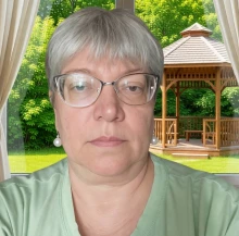 Сиделки - Лушникова Наталья Анатольевна